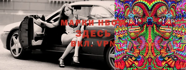 шишки Козельск
