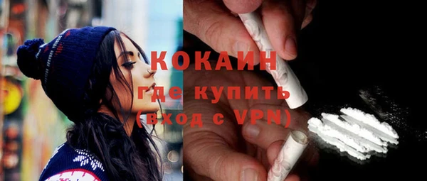 шишки Козельск