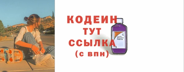 шишки Козельск
