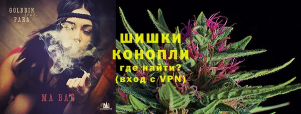 шишки Козельск