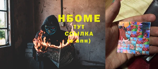 шишки Козельск