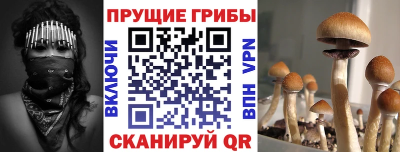 Псилоцибиновые грибы мухоморы  Купить  Выкса 
