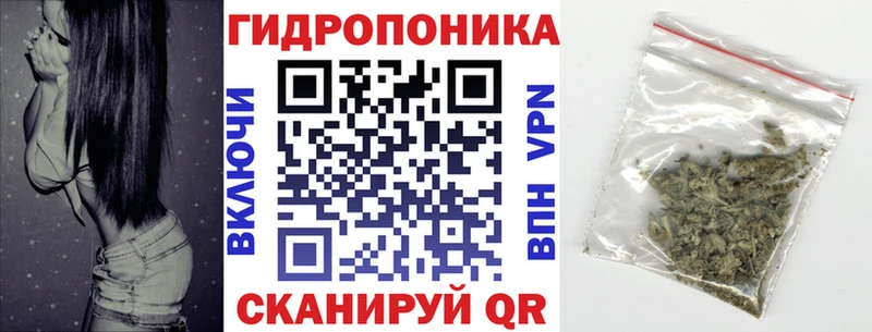 Бошки Шишки индика  Купить закладки  Выкса 